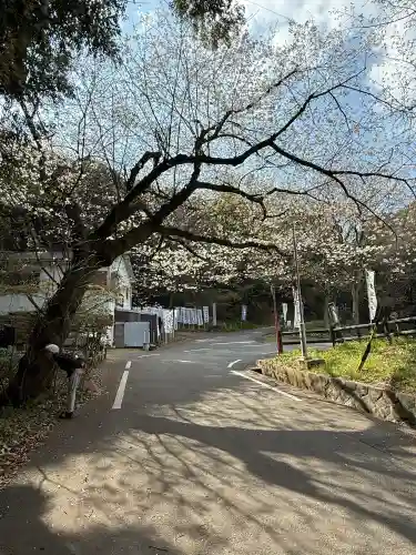 久麻久神社の{uncategorized: "未分類", other: "その他", undefined: "問題あり", building: "その他建物", grave: "お墓", sacred_gate: "鳥居", guardian: "狛犬", statue: "像", buddha: "仏像", history: "歴史", nature: "自然", garden: "庭園", animal: "動物", pagoda: "塔", temizu: "手水舎", mountain_gate: "山門・神門", sanctuary: "本殿・本堂", subordinate: "末社・摂社", art: "芸術", scenery: "景色", jizo: "地蔵", ema: "絵馬", goshuin: "御朱印", omikuji: "おみくじ", items: "授与品その他", amulet: "お守り", goshuincho: "御朱印帳", eats: "食事", festival: "お祭り", votive_dance: "神楽", shichigosan: "七五三参", wedding: "結婚式", experience: "体験その他", initially: "初詣", around: "周辺", anti_infection: "感染症対策"}