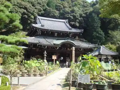 三室戸寺の本殿・本堂
