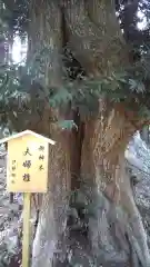 伊勢神社の自然