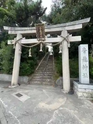 青龍神社(兵庫県)