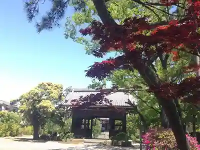 大雲寺の山門・神門