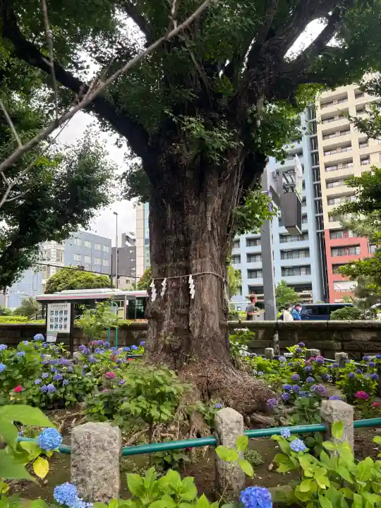 磐井神社(東京都)