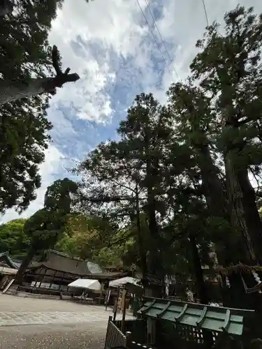 大神神社の{uncategorized: "未分類", other: "その他", undefined: "問題あり", building: "その他建物", grave: "お墓", sacred_gate: "鳥居", guardian: "狛犬", statue: "像", buddha: "仏像", history: "歴史", nature: "自然", garden: "庭園", animal: "動物", pagoda: "塔", temizu: "手水舎", mountain_gate: "山門・神門", sanctuary: "本殿・本堂", subordinate: "末社・摂社", art: "芸術", scenery: "景色", jizo: "地蔵", ema: "絵馬", goshuin: "御朱印", omikuji: "おみくじ", items: "授与品その他", amulet: "お守り", goshuincho: "御朱印帳", eats: "食事", festival: "お祭り", votive_dance: "神楽", shichigosan: "七五三参", wedding: "結婚式", experience: "体験その他", initially: "初詣", around: "周辺", anti_infection: "感染症対策"}