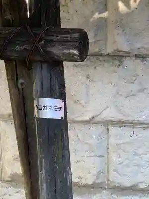 住吉神社(大阪府)