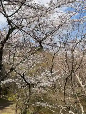 勝持寺（花の寺）(京都府)