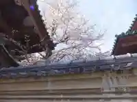 湯島聖堂のその他建物