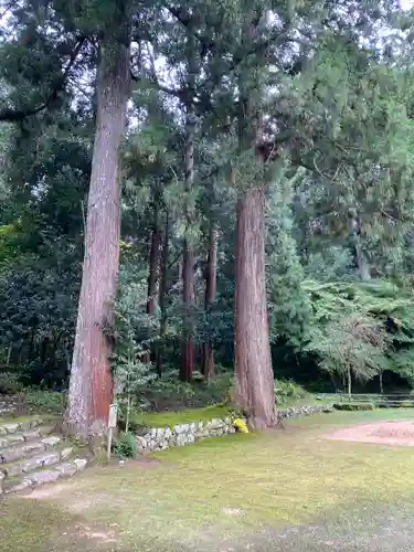 粟鹿神社(兵庫県)