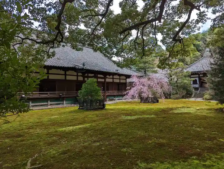 青蓮院門跡(京都府)