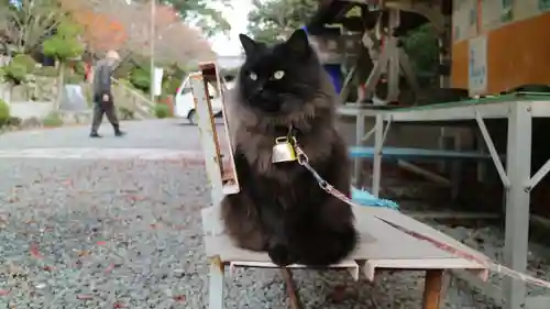 粉河産土神社（たのもしの宮）の動物