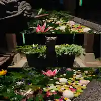 滑川神社 - 仕事と子どもの守り神の手水舎