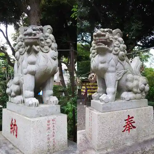 菊田神社の狛犬