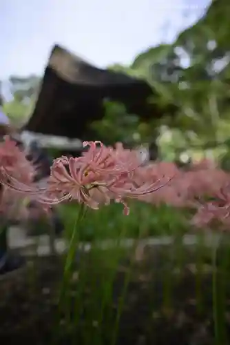 横浜　西方寺(神奈川県)