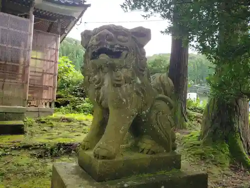 白山神社の狛犬