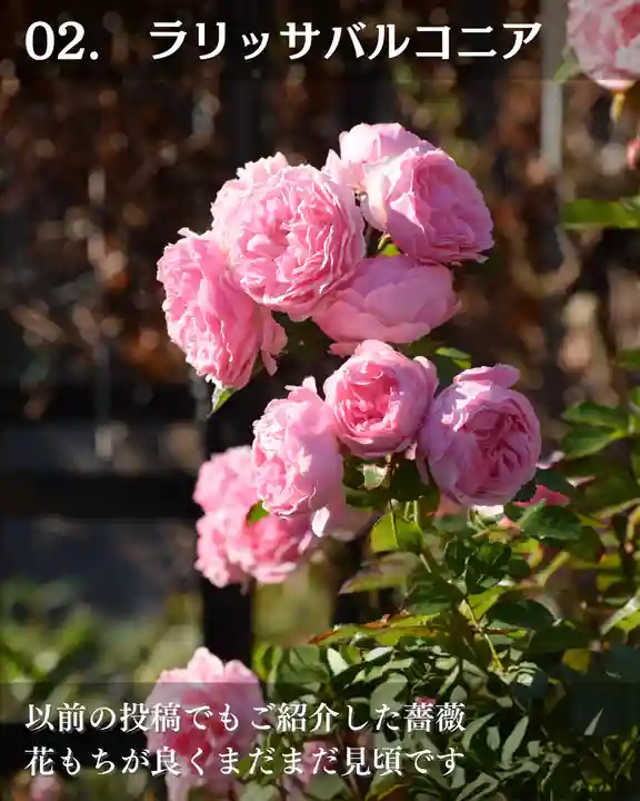宝光寺(北海道)