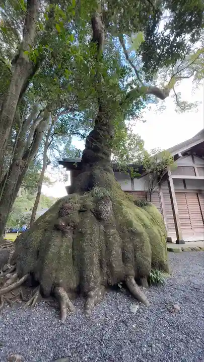 伊雜宮(皇大神宮別宮)(三重県)