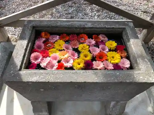 宝林寺の手水舎