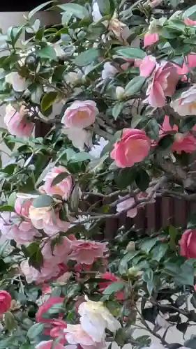 西方寺(京都府)