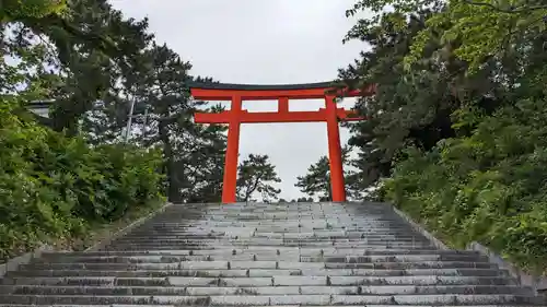 函館護國神社の鳥居