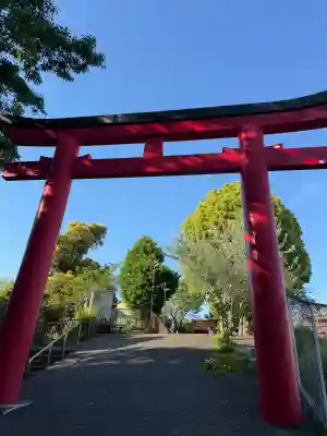 （芝生）浅間神社の{uncategorized: "未分類", other: "その他", undefined: "問題あり", building: "その他建物", grave: "お墓", sacred_gate: "鳥居", guardian: "狛犬", statue: "像", buddha: "仏像", history: "歴史", nature: "自然", garden: "庭園", animal: "動物", pagoda: "塔", temizu: "手水舎", mountain_gate: "山門・神門", sanctuary: "本殿・本堂", subordinate: "末社・摂社", art: "芸術", scenery: "景色", jizo: "地蔵", ema: "絵馬", goshuin: "御朱印", omikuji: "おみくじ", items: "授与品その他", amulet: "お守り", goshuincho: "御朱印帳", eats: "食事", festival: "お祭り", votive_dance: "神楽", shichigosan: "七五三参", wedding: "結婚式", experience: "体験その他", initially: "初詣", around: "周辺", anti_infection: "感染症対策"}