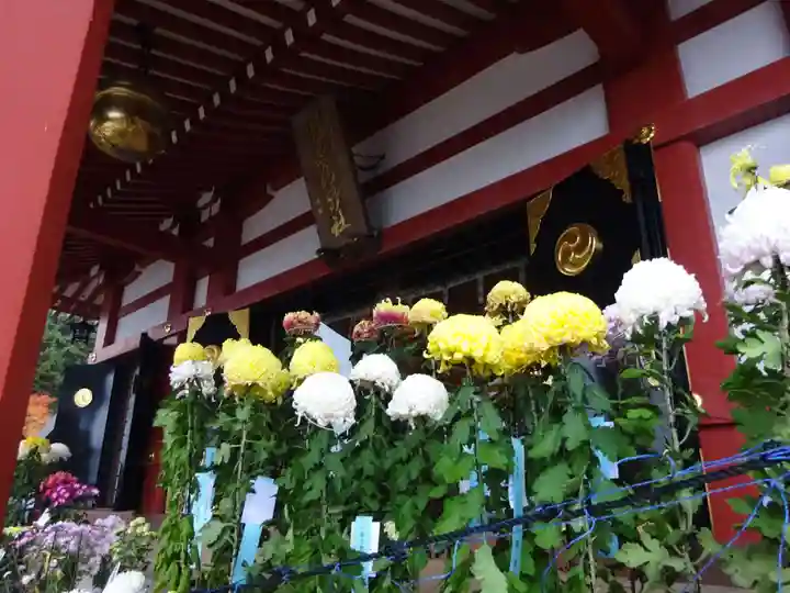 大山阿夫利神社の本殿・本堂
