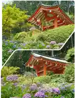 三室戸寺(京都府)