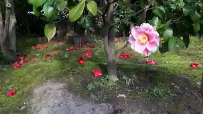 城南宮(京都府)