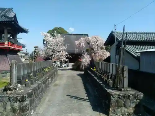 行善寺の本殿・本堂