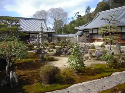 興聖寺（興聖寶林禅寺）の庭園