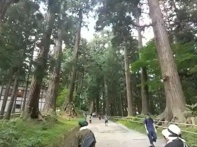 中尊寺のその他建物