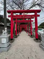 金井神社の鳥居