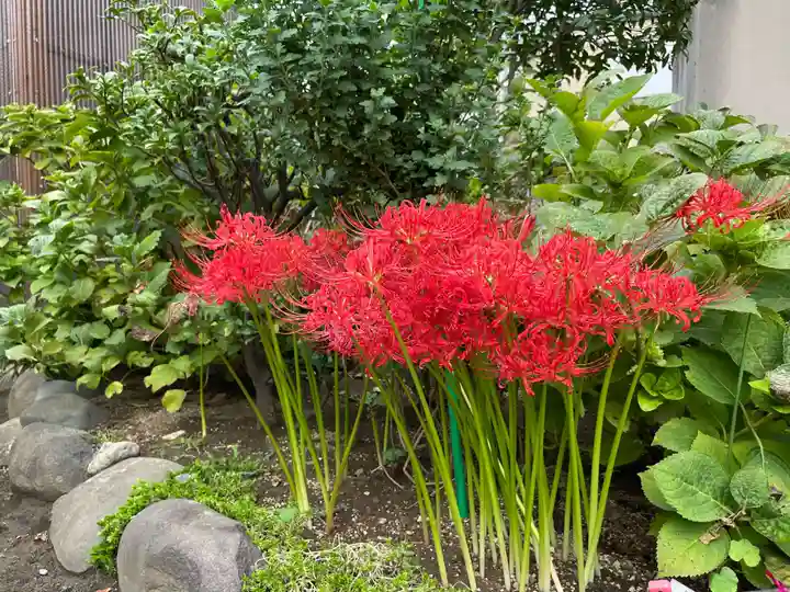 福王山 慈眼寺の自然