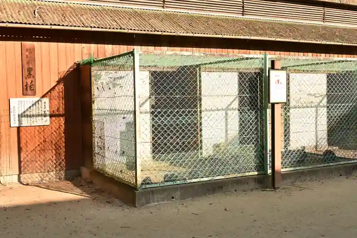 玉祖神社(山口県)