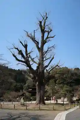 永保寺(岐阜県)