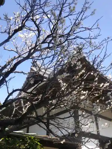 浄光明寺の自然