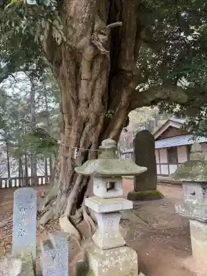 雨引千勝神社の{uncategorized: "未分類", other: "その他", undefined: "問題あり", building: "その他建物", grave: "お墓", sacred_gate: "鳥居", guardian: "狛犬", statue: "像", buddha: "仏像", history: "歴史", nature: "自然", garden: "庭園", animal: "動物", pagoda: "塔", temizu: "手水舎", mountain_gate: "山門・神門", sanctuary: "本殿・本堂", subordinate: "末社・摂社", art: "芸術", scenery: "景色", jizo: "地蔵", ema: "絵馬", goshuin: "御朱印", omikuji: "おみくじ", items: "授与品その他", amulet: "お守り", goshuincho: "御朱印帳", eats: "食事", festival: "お祭り", votive_dance: "神楽", shichigosan: "七五三参", wedding: "結婚式", experience: "体験その他", initially: "初詣", around: "周辺", anti_infection: "感染症対策"}