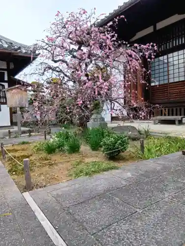 祐正寺の{uncategorized: "未分類", other: "その他", undefined: "問題あり", building: "その他建物", grave: "お墓", sacred_gate: "鳥居", guardian: "狛犬", statue: "像", buddha: "仏像", history: "歴史", nature: "自然", garden: "庭園", animal: "動物", pagoda: "塔", temizu: "手水舎", mountain_gate: "山門・神門", sanctuary: "本殿・本堂", subordinate: "末社・摂社", art: "芸術", scenery: "景色", jizo: "地蔵", ema: "絵馬", goshuin: "御朱印", omikuji: "おみくじ", items: "授与品その他", amulet: "お守り", goshuincho: "御朱印帳", eats: "食事", festival: "お祭り", votive_dance: "神楽", shichigosan: "七五三参", wedding: "結婚式", experience: "体験その他", initially: "初詣", around: "周辺", anti_infection: "感染症対策"}