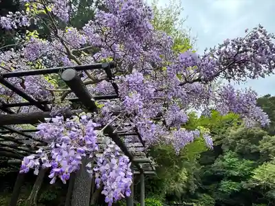 丹生官省符神社(和歌山県)