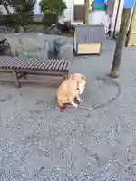 妙福寺(神奈川県)