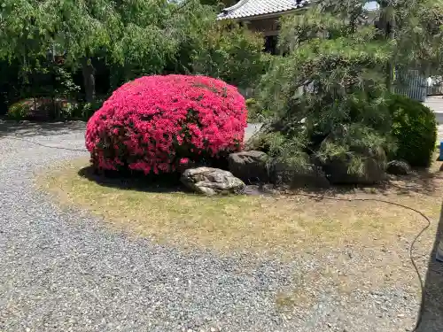 永福寺の{uncategorized: "未分類", other: "その他", undefined: "問題あり", building: "その他建物", grave: "お墓", sacred_gate: "鳥居", guardian: "狛犬", statue: "像", buddha: "仏像", history: "歴史", nature: "自然", garden: "庭園", animal: "動物", pagoda: "塔", temizu: "手水舎", mountain_gate: "山門・神門", sanctuary: "本殿・本堂", subordinate: "末社・摂社", art: "芸術", scenery: "景色", jizo: "地蔵", ema: "絵馬", goshuin: "御朱印", omikuji: "おみくじ", items: "授与品その他", amulet: "お守り", goshuincho: "御朱印帳", eats: "食事", festival: "お祭り", votive_dance: "神楽", shichigosan: "七五三参", wedding: "結婚式", experience: "体験その他", initially: "初詣", around: "周辺", anti_infection: "感染症対策"}