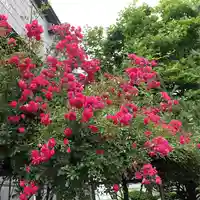 成田山大照寺(北海道)