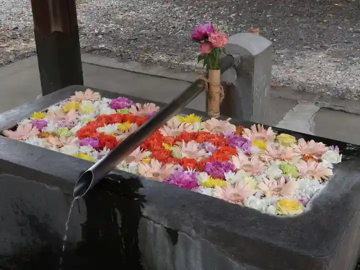 美濃國一宮 南宮大社の手水舎