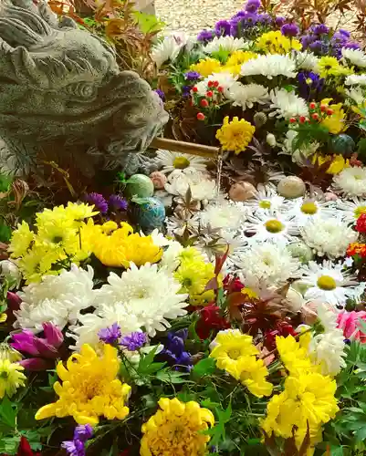 滑川神社 - 仕事と子どもの守り神の手水