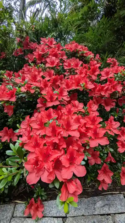 検見川神社の自然