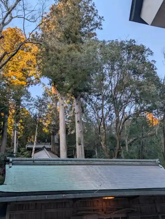 丹生川上神社(下社)の{uncategorized: "未分類", other: "その他", undefined: "問題あり", building: "その他建物", grave: "お墓", sacred_gate: "鳥居", guardian: "狛犬", statue: "像", buddha: "仏像", history: "歴史", nature: "自然", garden: "庭園", animal: "動物", pagoda: "塔", temizu: "手水舎", mountain_gate: "山門・神門", sanctuary: "本殿・本堂", subordinate: "末社・摂社", art: "芸術", scenery: "景色", jizo: "地蔵", ema: "絵馬", goshuin: "御朱印", omikuji: "おみくじ", items: "授与品その他", amulet: "お守り", goshuincho: "御朱印帳", eats: "食事", festival: "お祭り", votive_dance: "神楽", shichigosan: "七五三参", wedding: "結婚式", experience: "体験その他", initially: "初詣", around: "周辺", anti_infection: "感染症対策"}