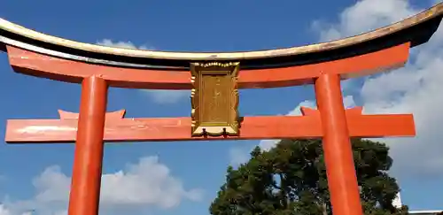 姫嶋神社の鳥居