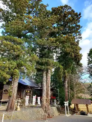 高司神社〜むすびの神の鎮まる社〜の自然