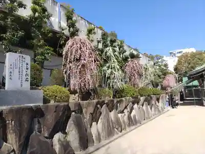 大阪天満宮(大阪府)