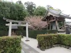 相国寺（相国承天禅寺）(京都府)