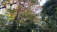 淡島神社の自然