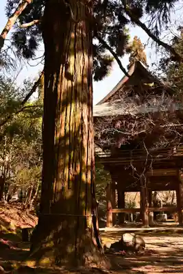 御調八幡宮(広島県)
